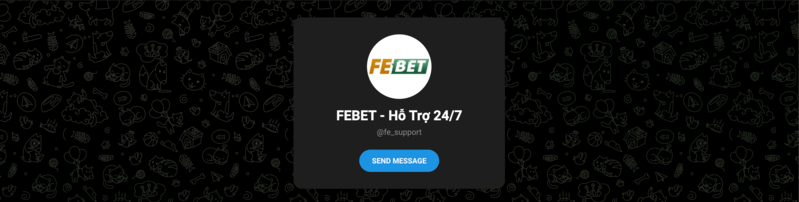 Hỗ trợ FEBET