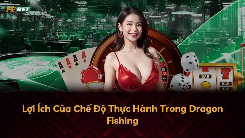Lợi Ích Của Chế Độ Thực Hành Trong Dragon Fishing