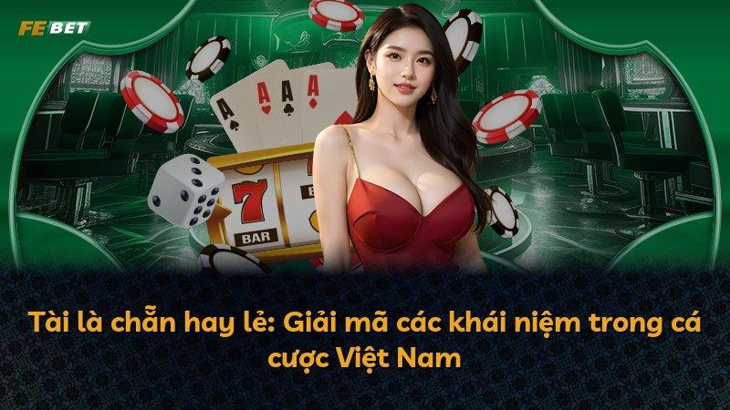 Tài là chẵn hay lẻ: Giải mã các khái niệm trong cá cược Việt Nam