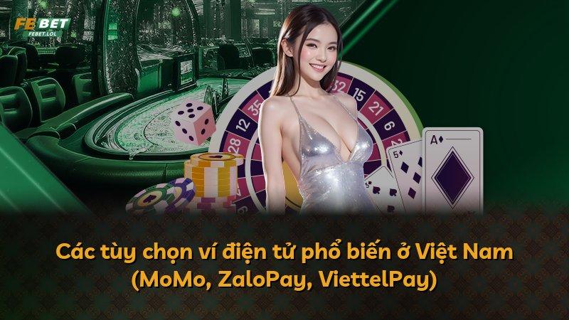 Các tùy chọn ví điện tử phổ biến ở Việt Nam (MoMo, ZaloPay, ViettelPay)