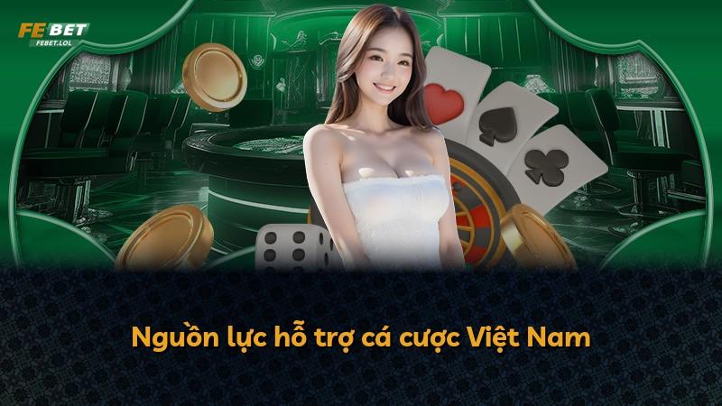 Nguồn lực hỗ trợ cá cược Việt Nam