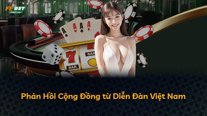 Phản Hồi Cộng Đồng từ Diễn Đàn Việt Nam